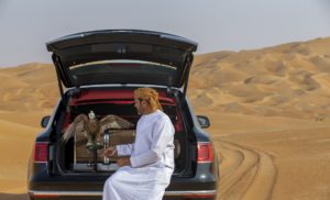 Bentley Bentayga Falconry by Mulliner - Rear Hatch - With Falcon