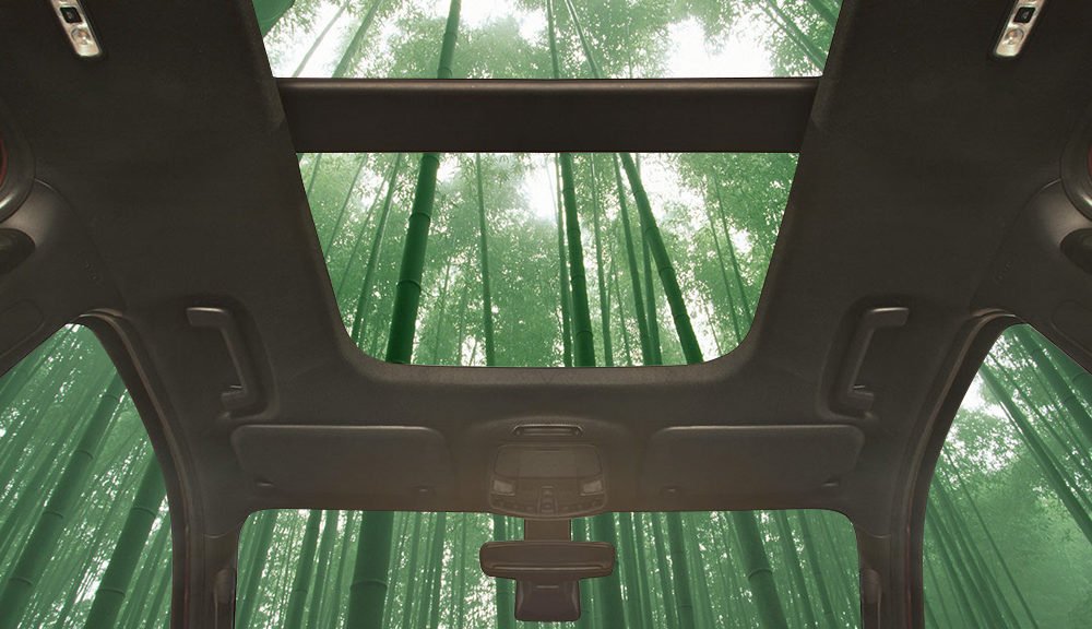 18th Ford Sustainability Report - Potentially Bamboo Vehicle Interiors